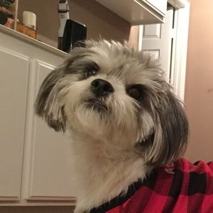 Meet your Posher, Bryan